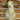 Dall Sheep Shoulder Mount image 0