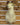 Dall Sheep Shoulder Mount image 0