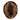 Beaver Pelt Wall Hanging Taxidermy Mount image 0