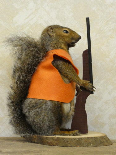 Hunting Squirrel Taxidermy image 1