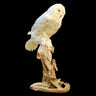 Faux Snow Owl Seated Taxidermy Mount image 0