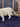 Mountain Lion -- Walking image 2