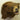 Black Bear Shoulder Mount Taxidermy image 0