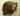 Black Bear Shoulder Mount Taxidermy image 0