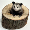 Opossum in a log Taxidermy Mount image 0