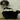 Skunk Standing Taxidermy image 0
