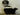 Skunk Standing Taxidermy image 0