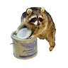 Raccoon With Minnow Bucket Taxidermy Mount image 0