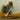 Canoeing Squirrel Taxidermy image 0