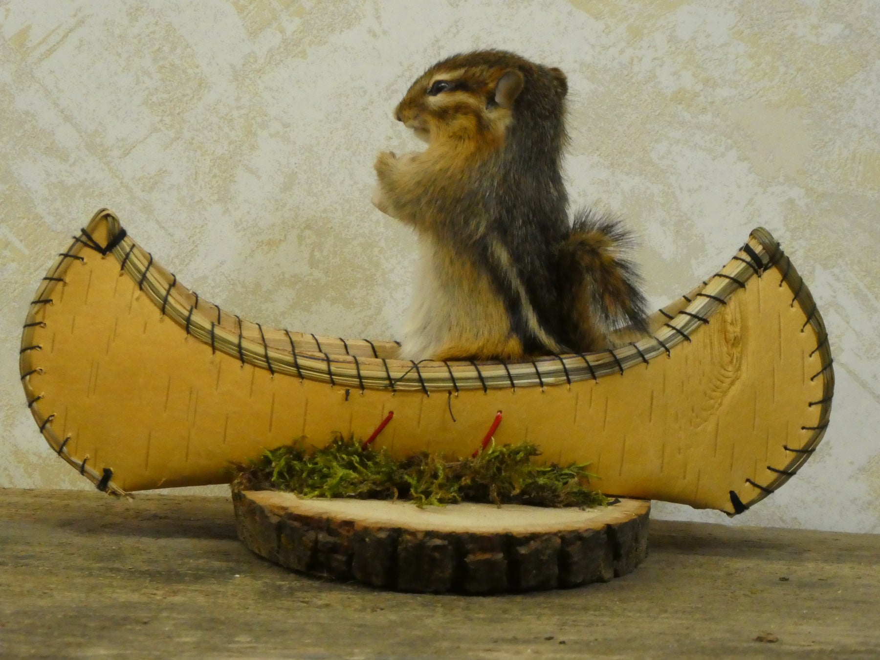CUSTOM TAXIDERMY PRICING