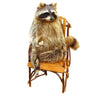 Raccoon Seated Taxidermy Mount image 0