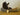Canoeing Black Bear Taxidermy Mount image 0