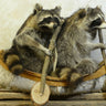 Double Canoeing Raccoon Taxidermy image 0