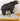 Medium Black Bear image 1