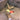XL Antler Dog Chew image 0