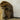 Beaver Chewing on Log Taxidermy image 0