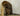 Beaver Chewing on Log Taxidermy image 0