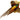 Golden Pheasant Flying Taxidermy Mount image 0