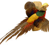 Golden Pheasant Flying Taxidermy Mount image 0