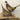 Ringneck Pheasant Pair of Male and Female Taxidermy image 0