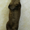 Standing Otter on Driftwood image 0