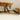 Red Fox Double Wall Mount image 0