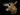 Moose Large Shoulder Mount Taxidermy image 0