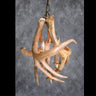 2 Light Whitetail Chandelier image 0