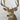 Mule Deer Shoulder Mount image 0