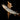 Northern Pike Taxidermy image 0