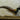 Lady Amherst Pheasant Taxidermy image 0