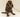 small beaver image 0