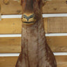 Topi Shoulder Mount image 0