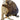 Porcupine Taxidermy Mount image 0