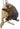 Porcupine Taxidermy Mount image 0