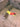 Large Split Antler Dog Chew image 0