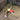 Large Antler Dog Chew image 0
