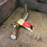 Large Antler Dog Chew image 0