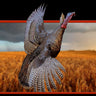 Turkey Flying Taxidermy Mount image 0