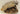 Badger on Driftwood image 0