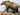Walking Grizzly Bear image 0