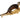 Otter Walking Taxidermy Mount image 0