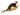 Otter Walking Taxidermy Mount image 0