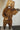 Life-size Coastal Brown Bear Taxidermy Mount image 0
