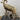 Lifesize Stone Sheep w/ Base image 0